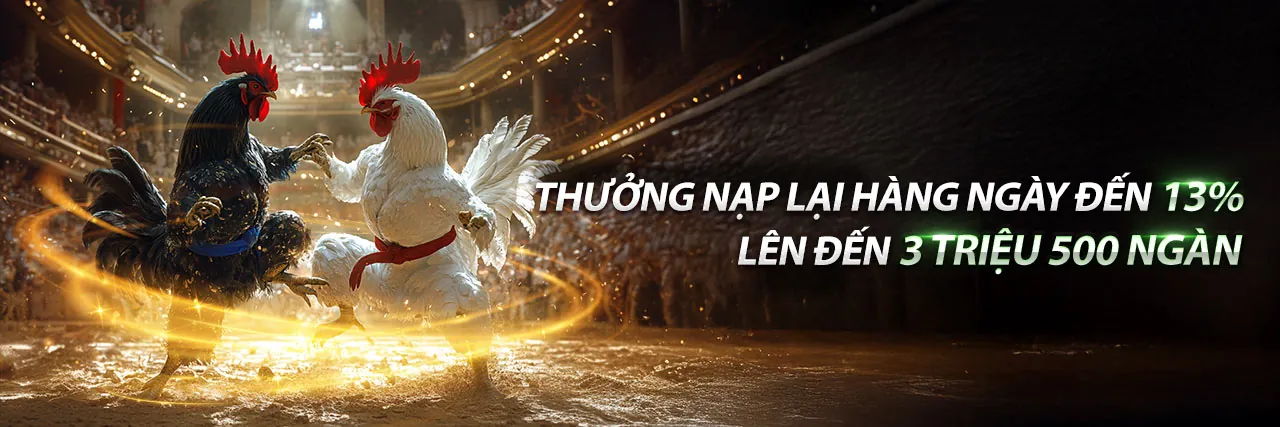 Đá gà trực tiếp tại 99vin